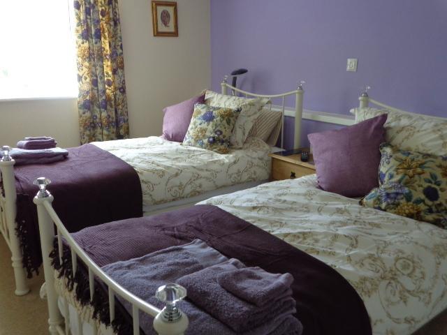 Lodge House B&B Buckland St Mary Kamer foto