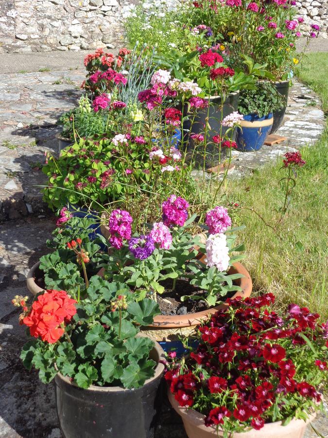 Lodge House B&B Buckland St Mary Buitenkant foto